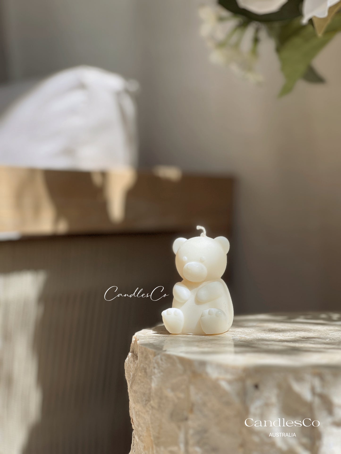 Small Teddy Bear