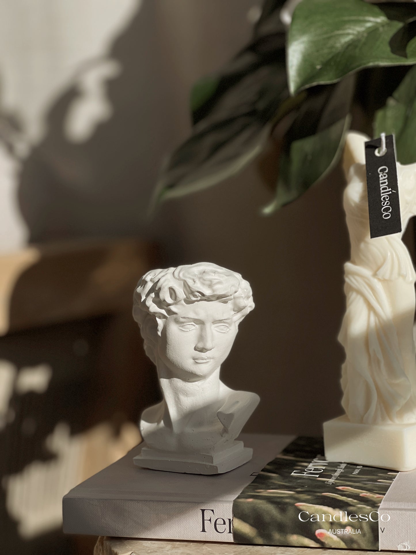 David Vase