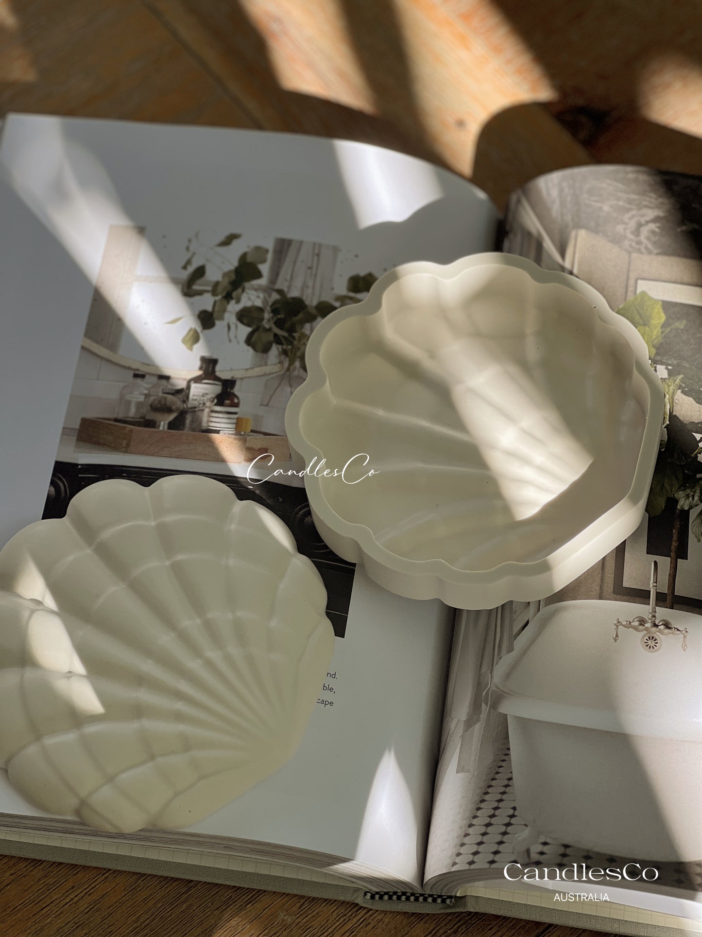 Clam Shell Trinket Box