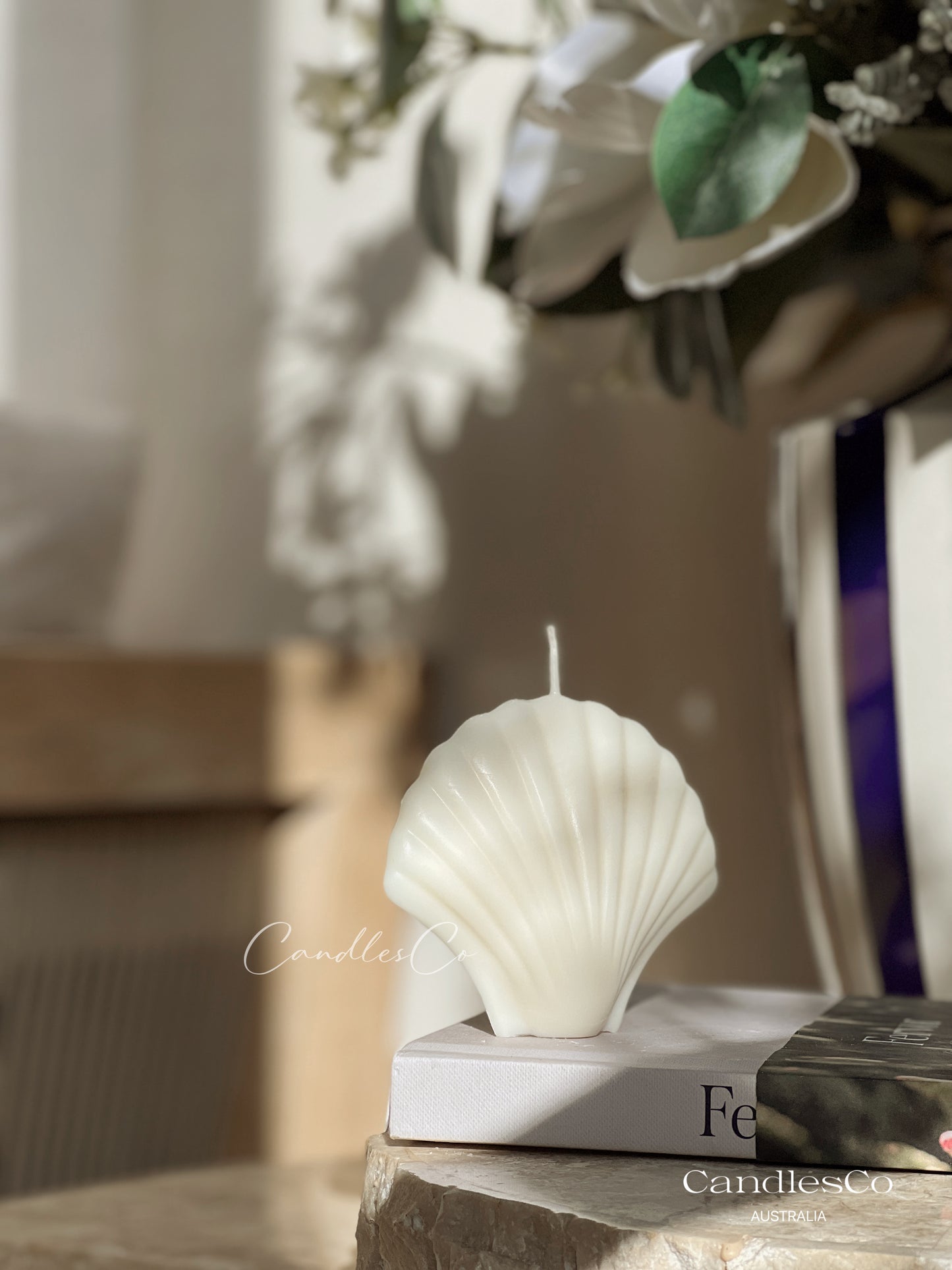 Scallop Seashell