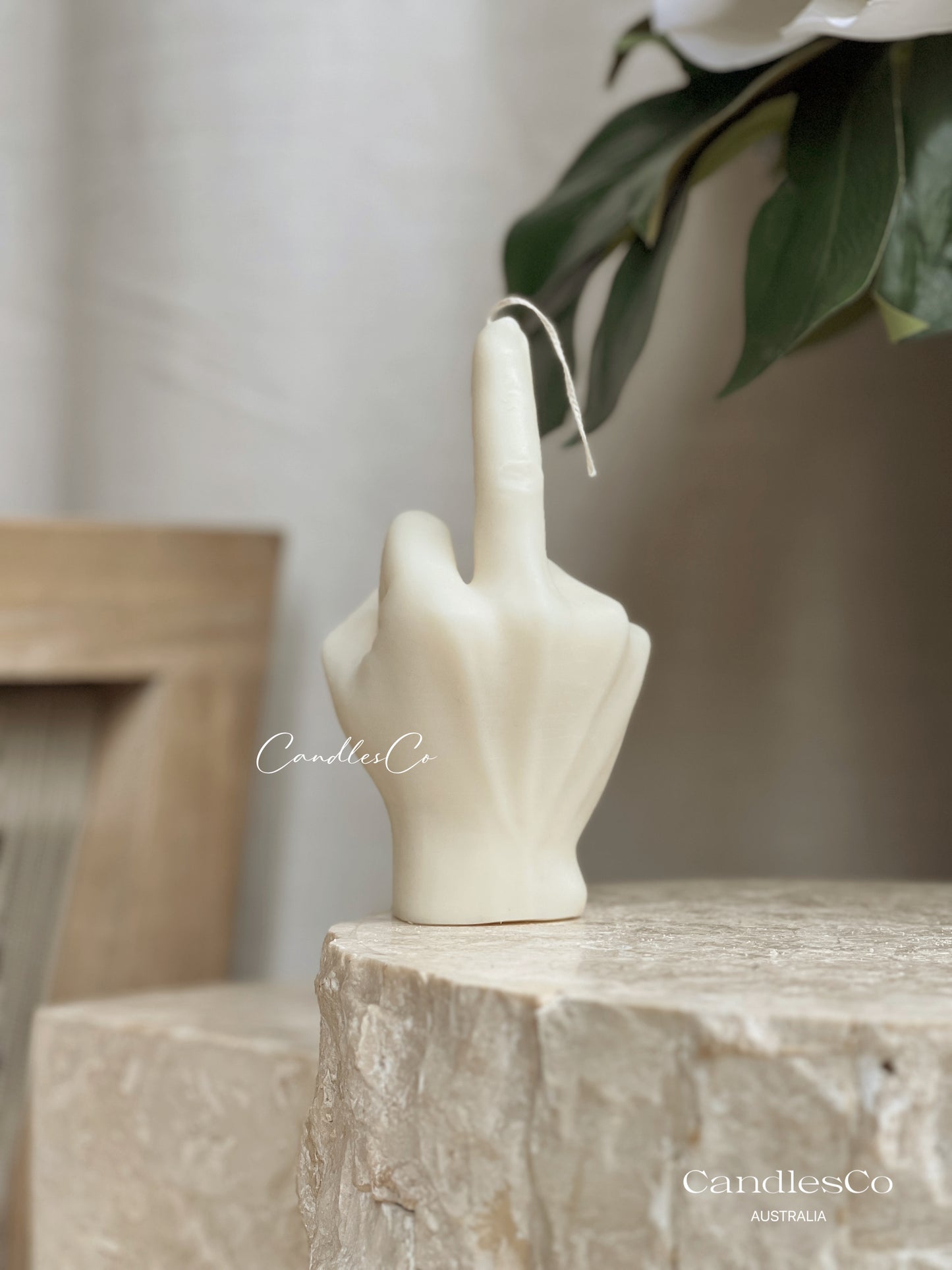 Rude Finger