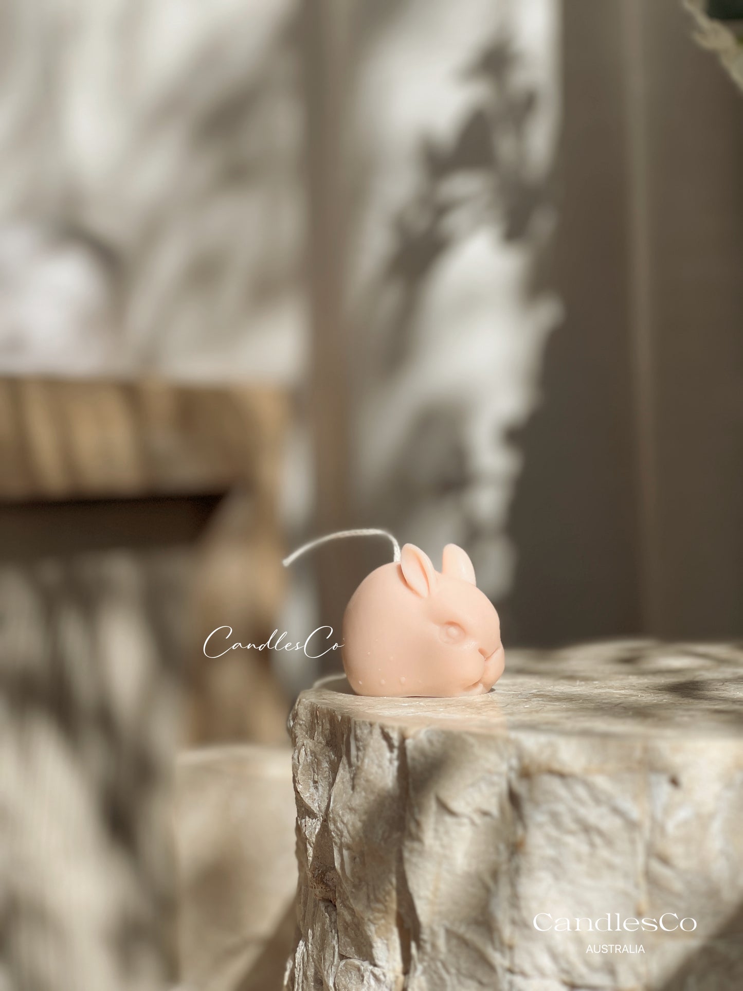 Mini Rabbit