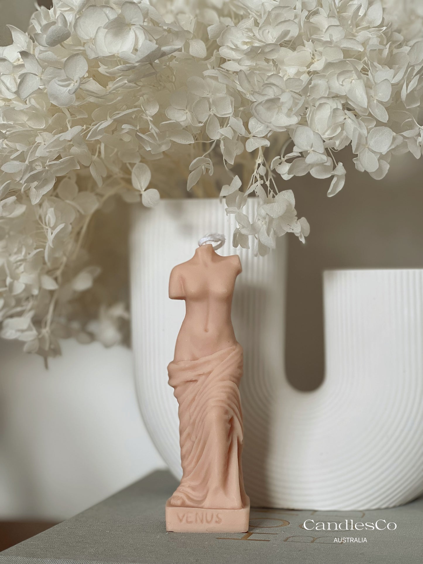 Small Venus Statue