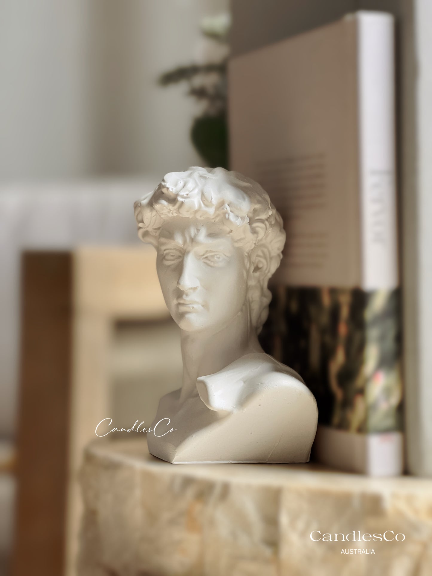 Statue David Bookend