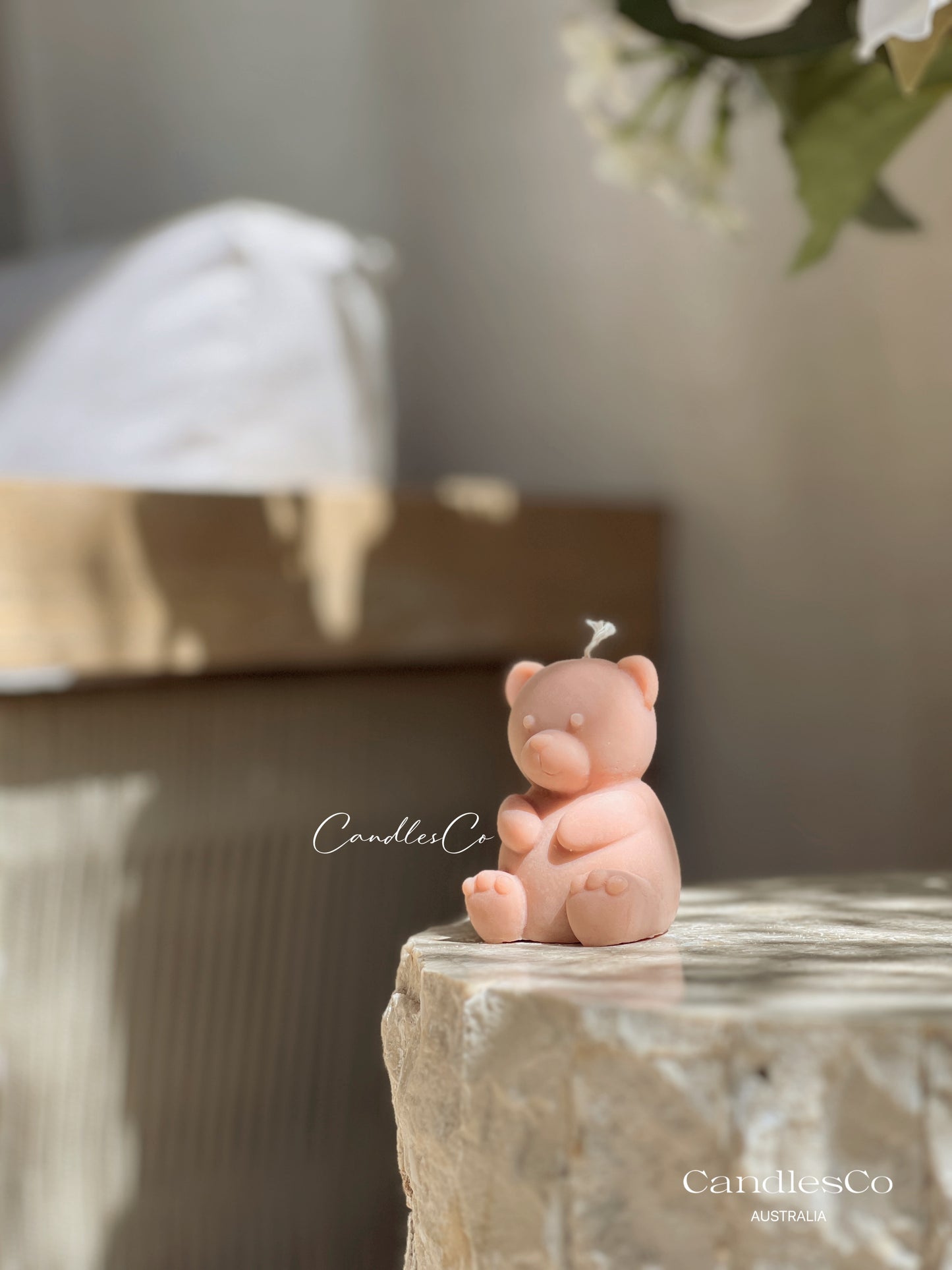 Small Teddy Bear
