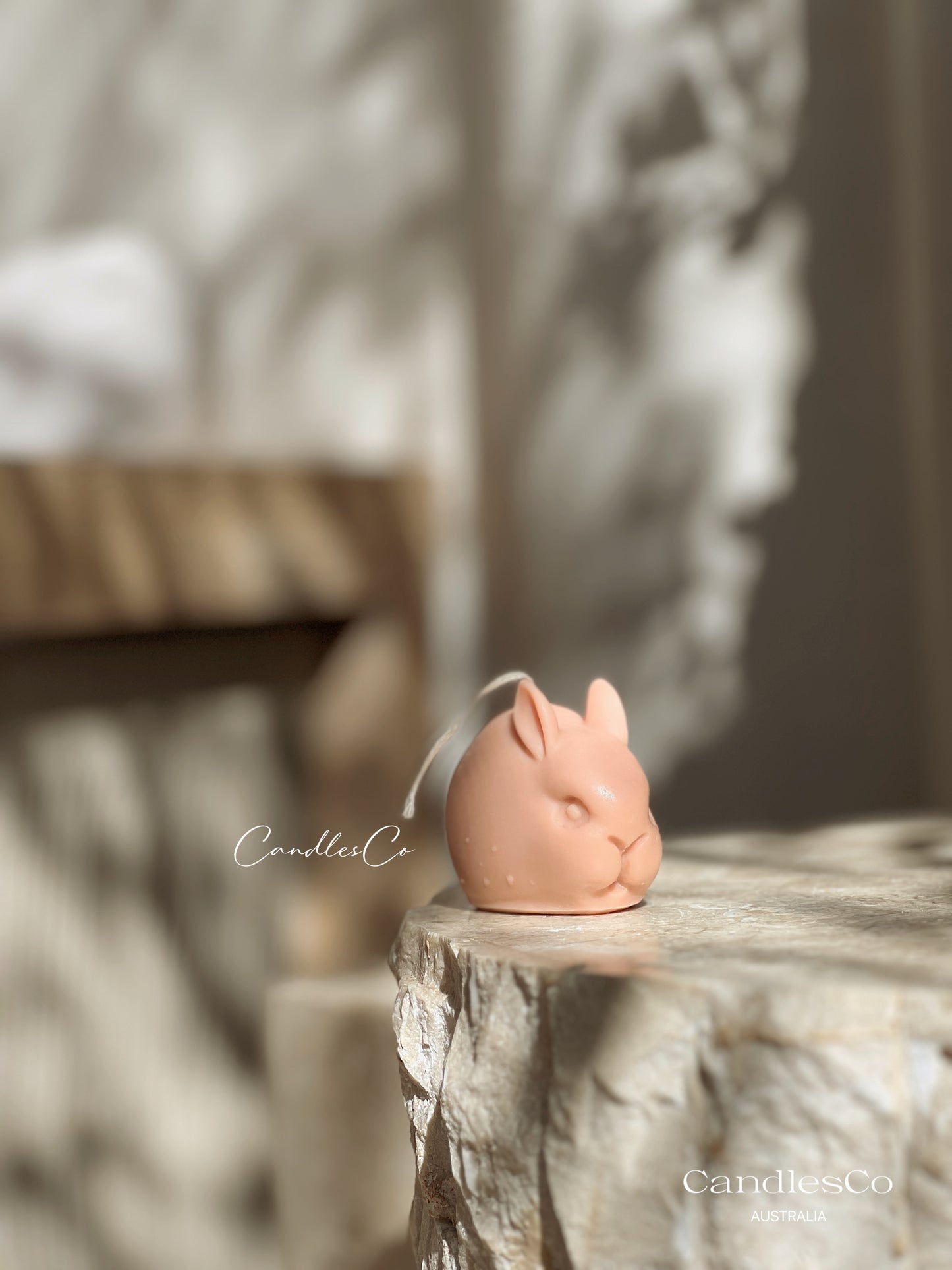 Mini Rabbit