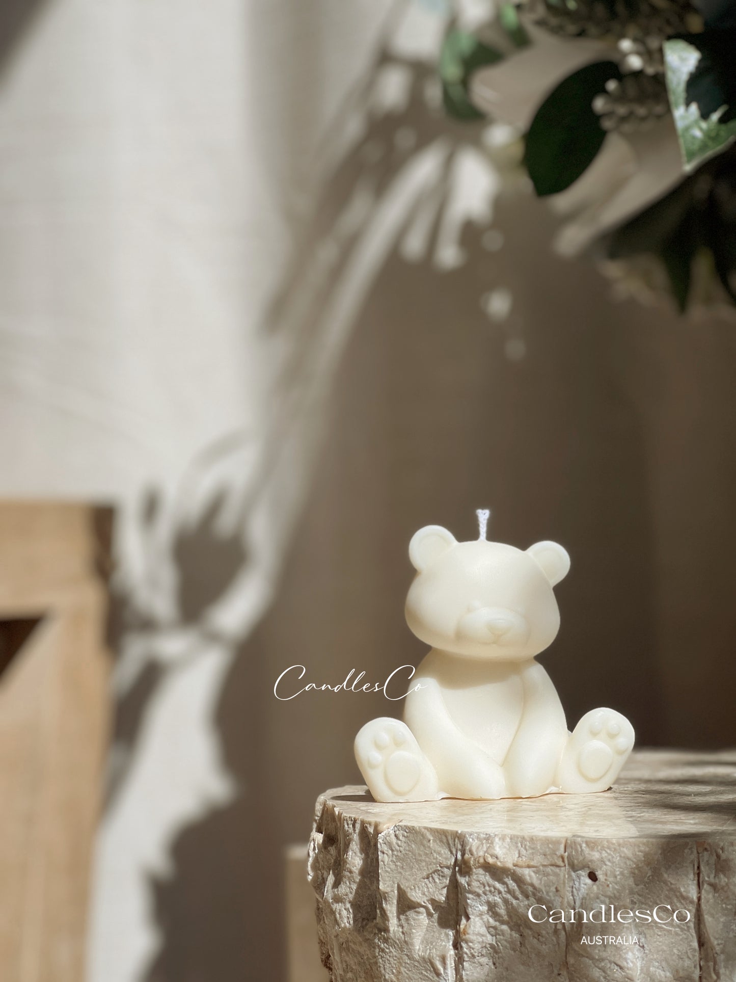 Teddy
