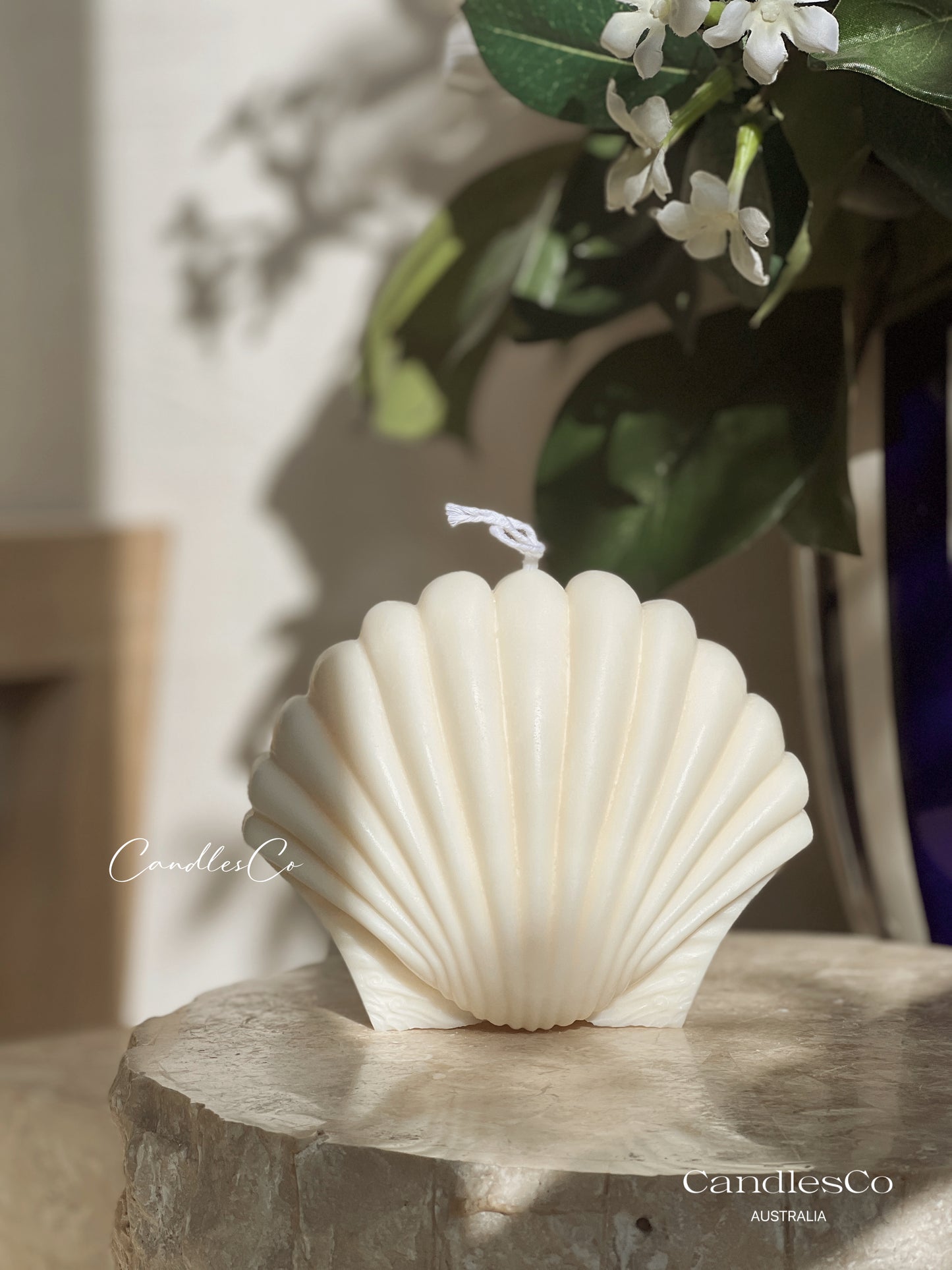 Large Scallop Shell