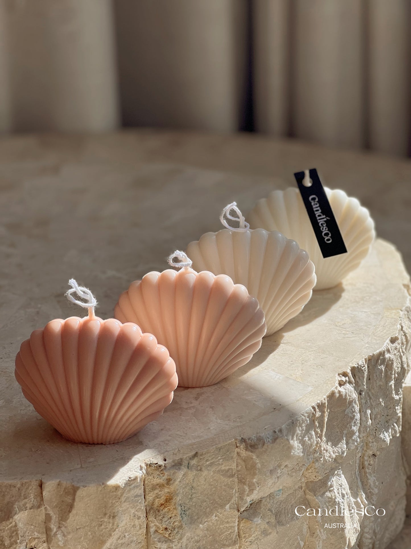Seashell