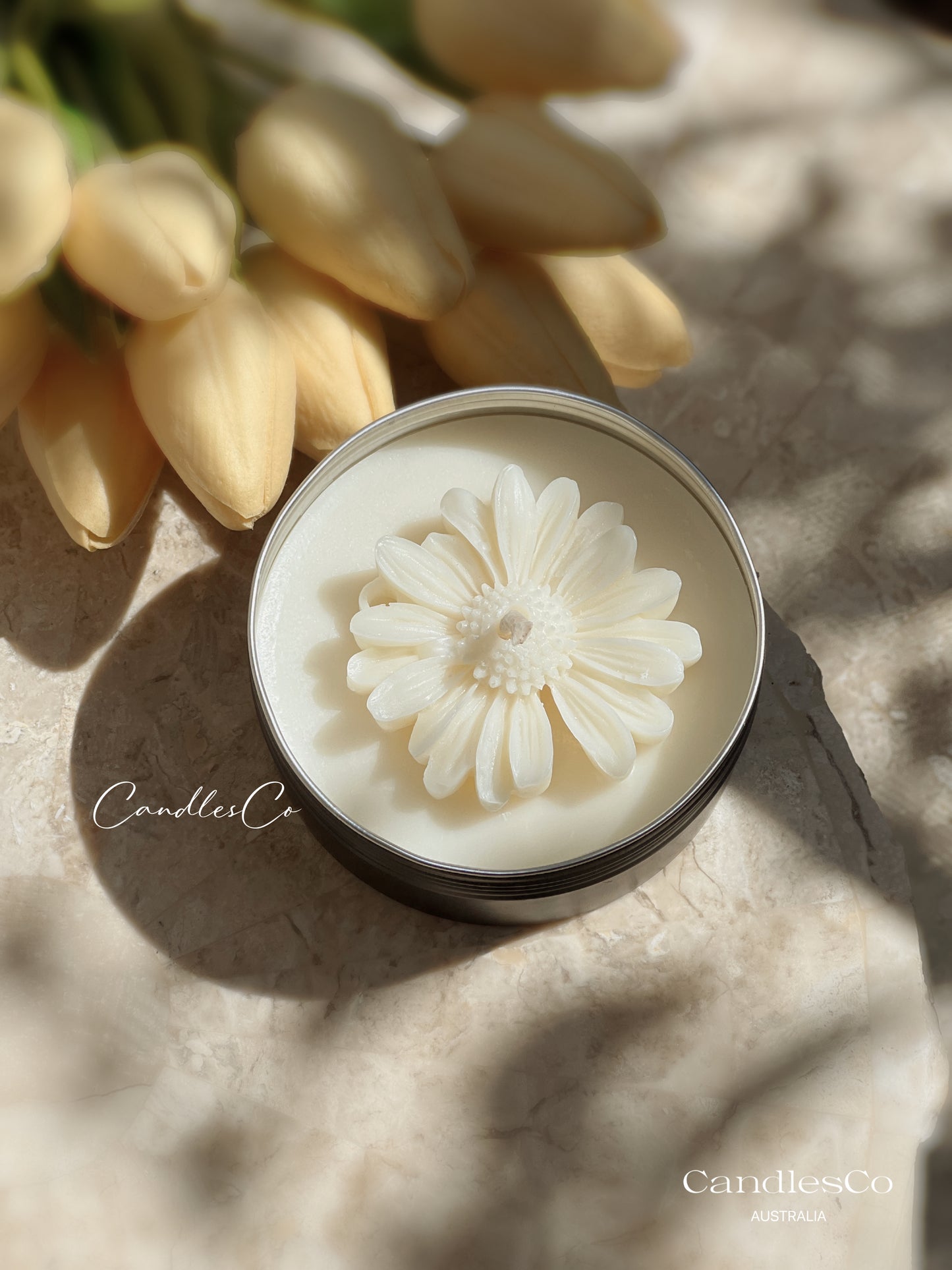 Scented Daisy