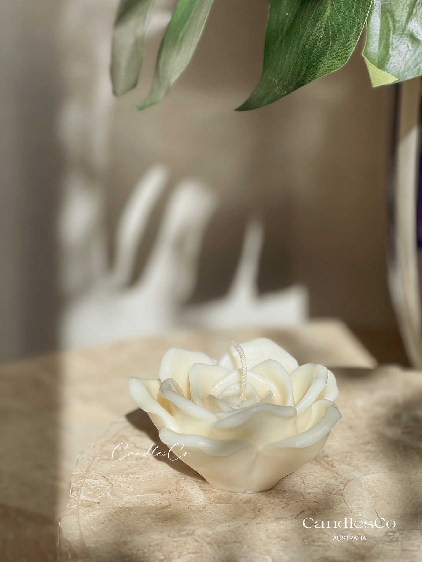 Large Rose