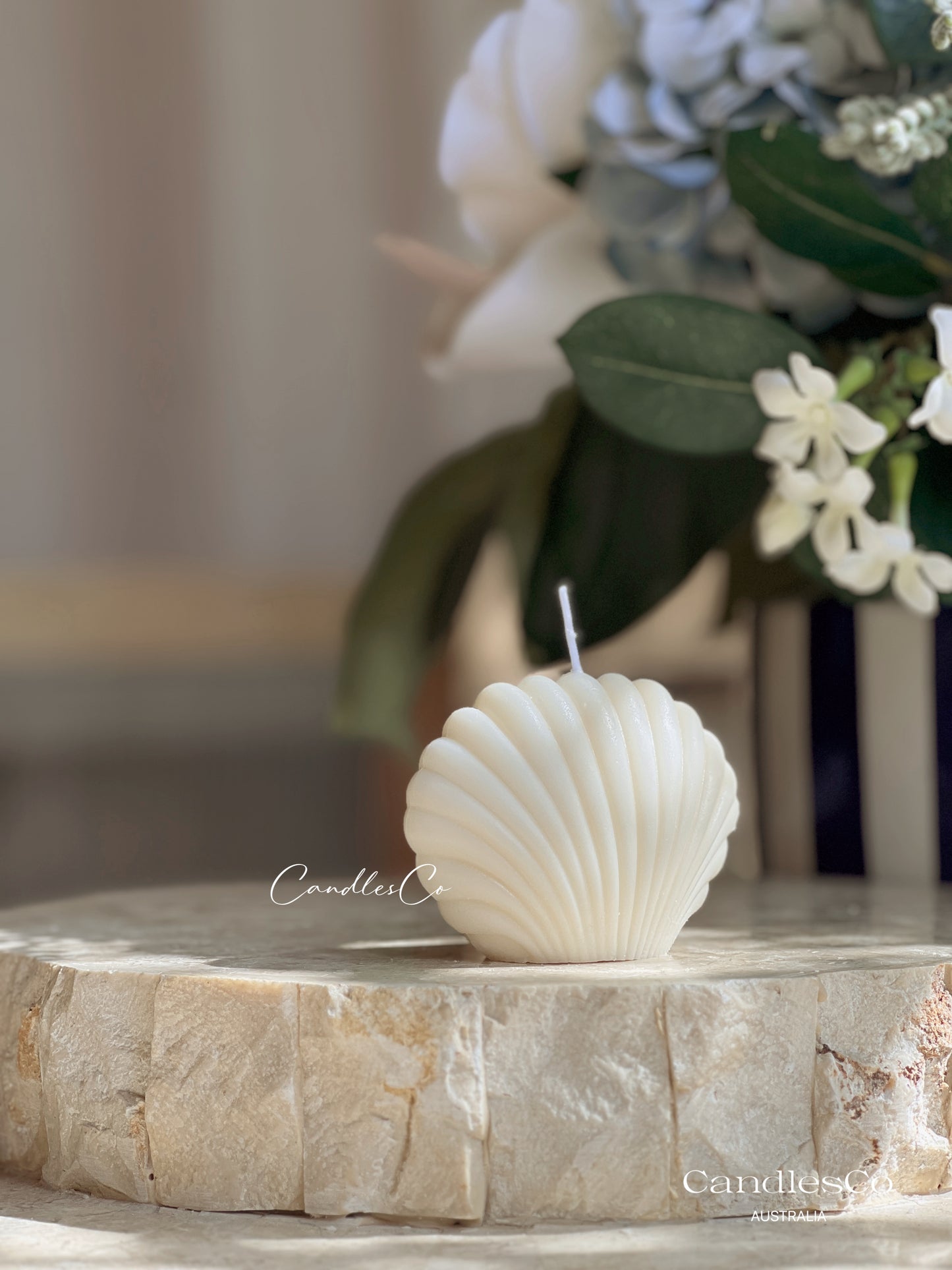 Small Seashell