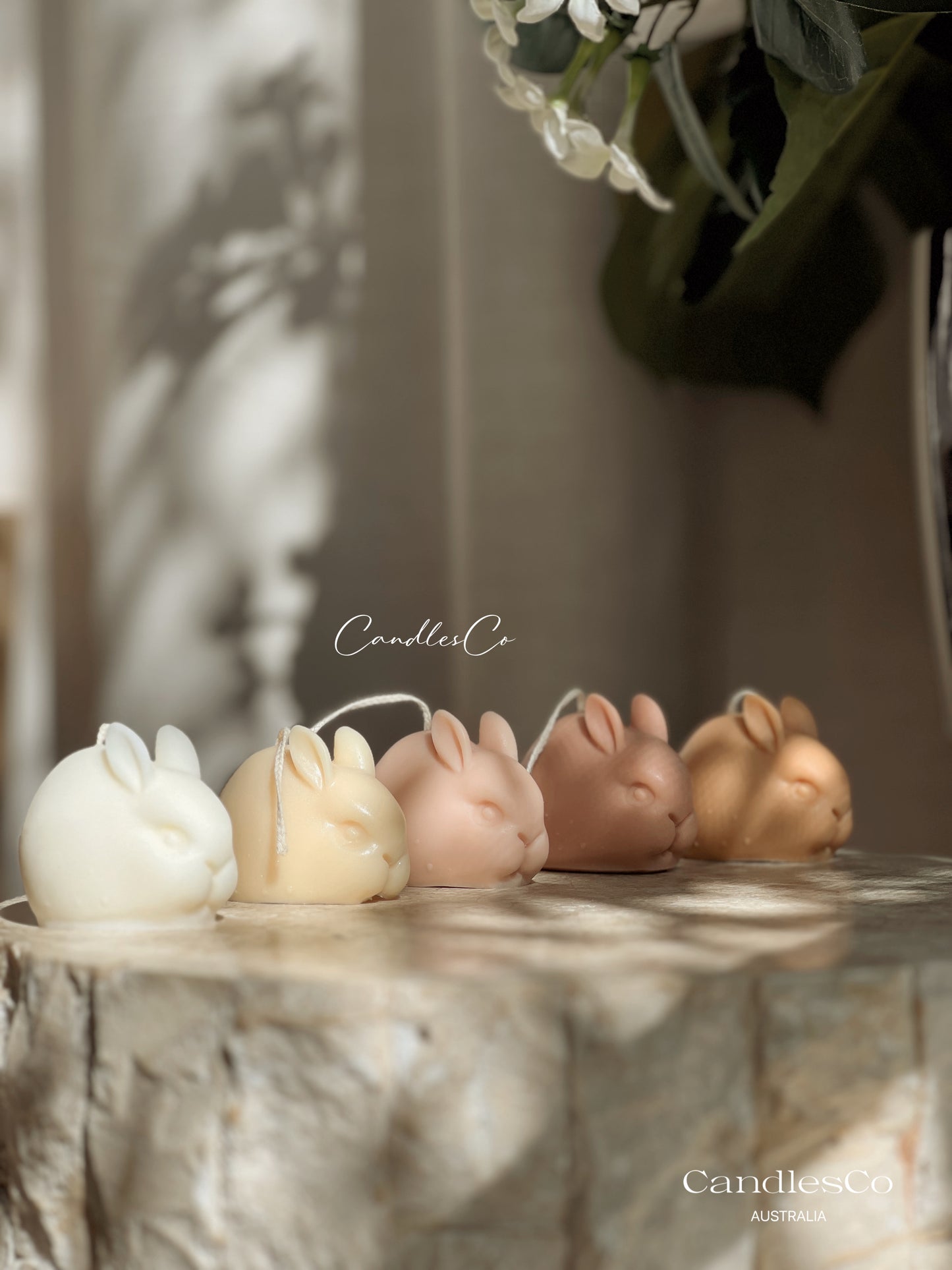 Mini Rabbit