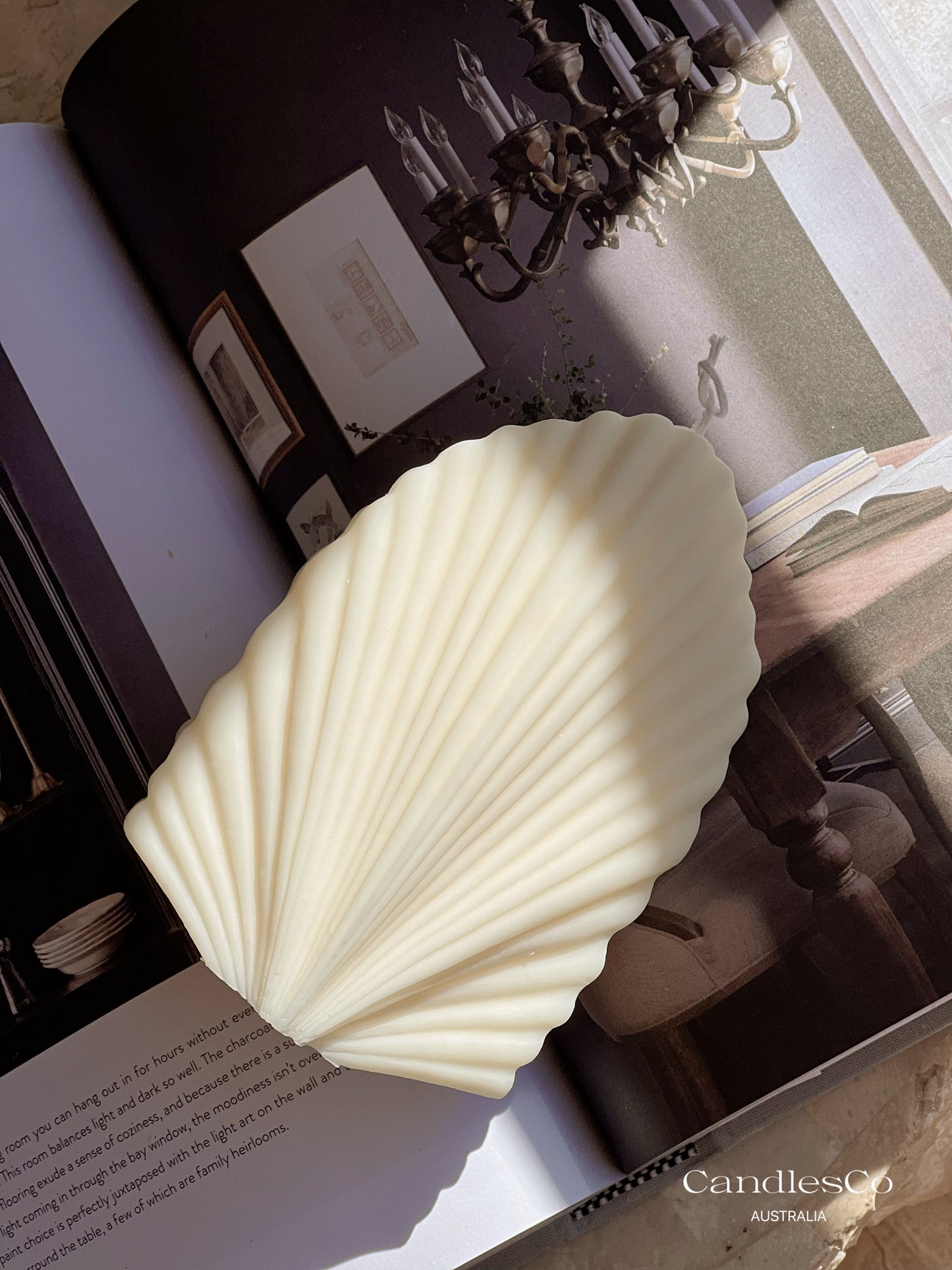Medium Palm Leaf