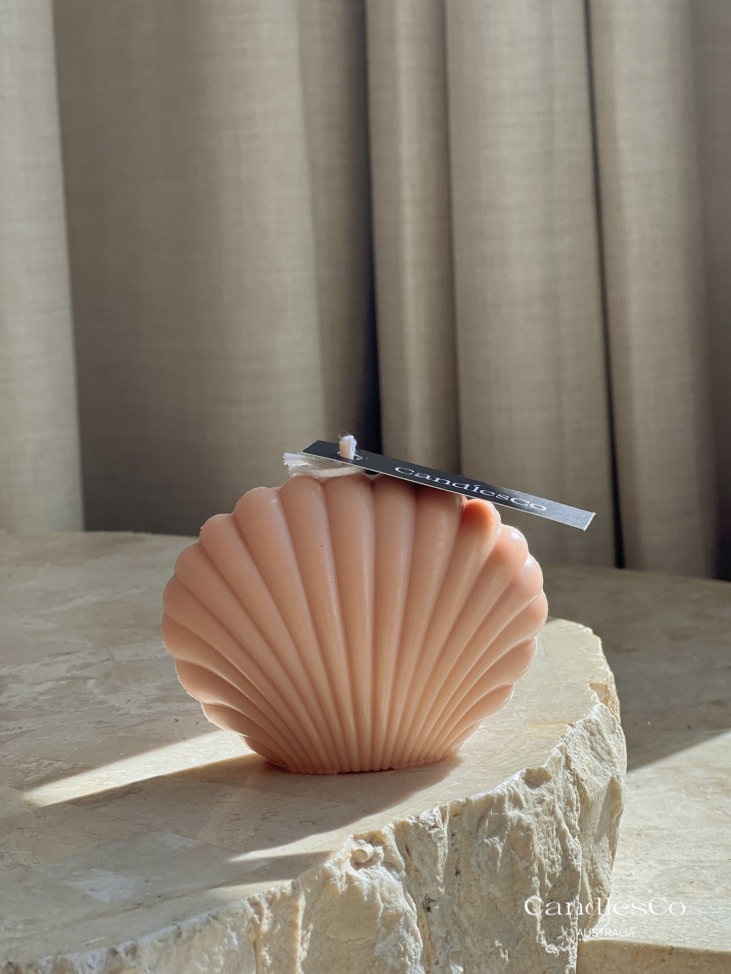 Seashell
