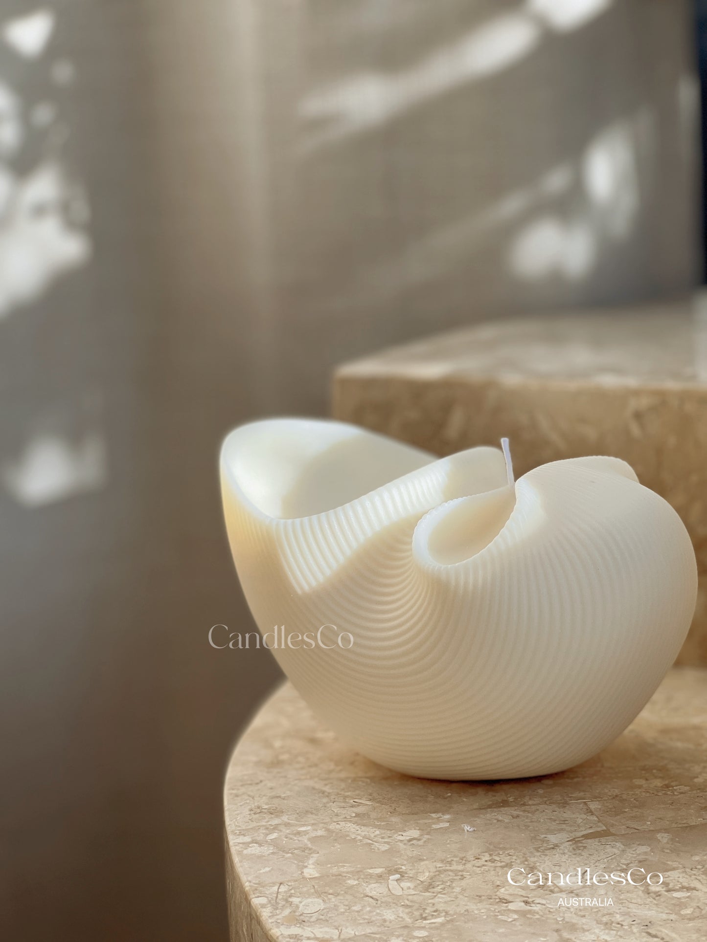 Coastal Shell