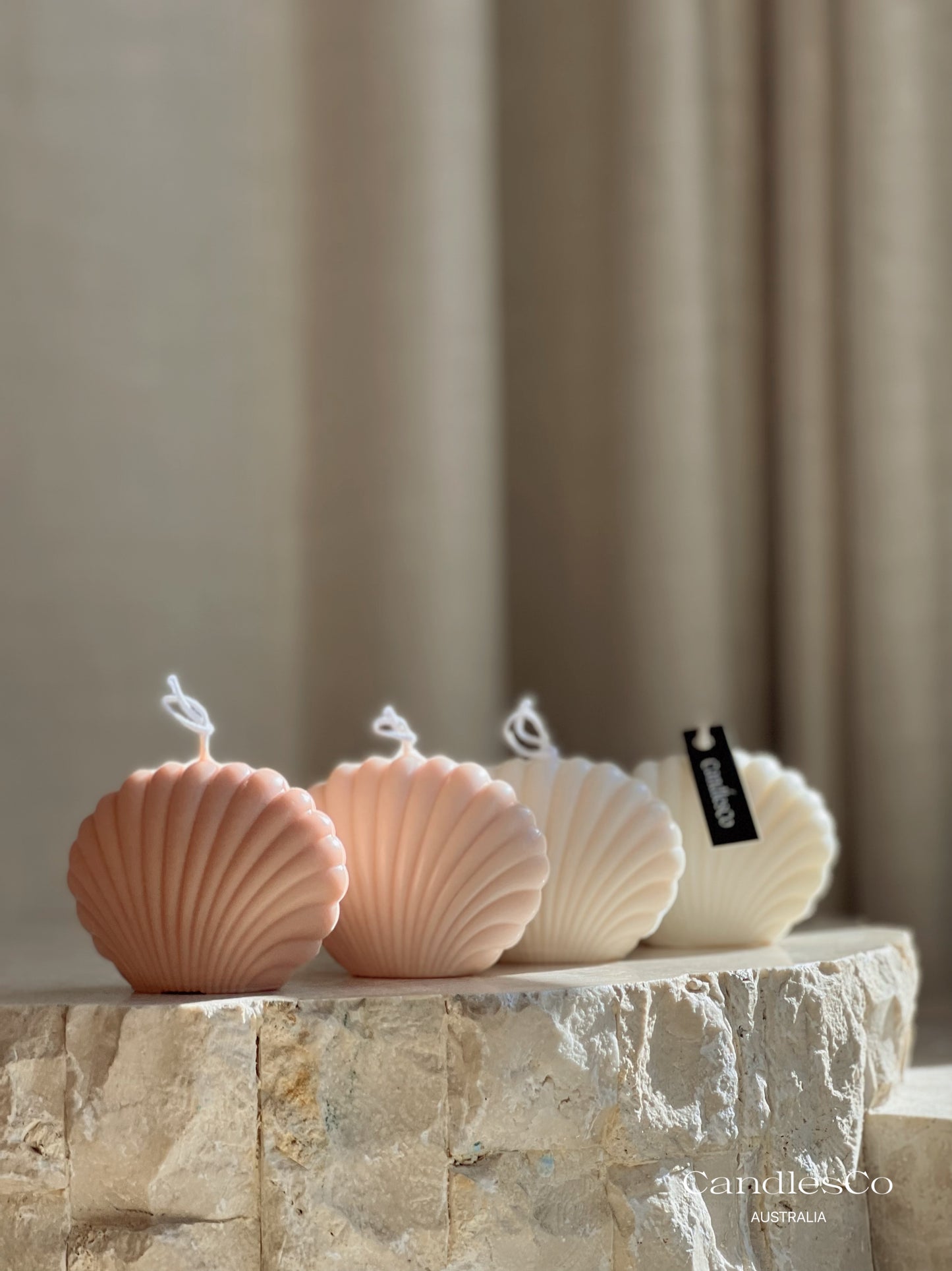 Seashell