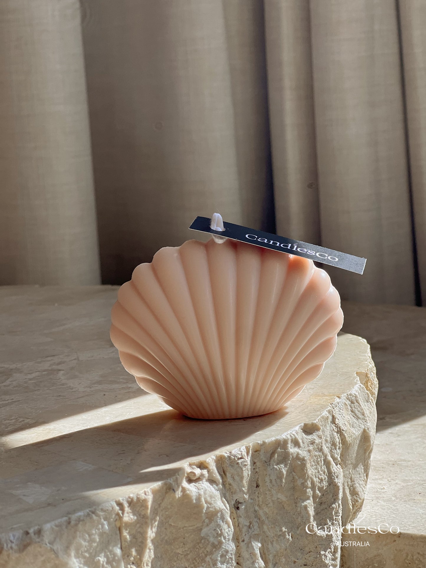 Seashell