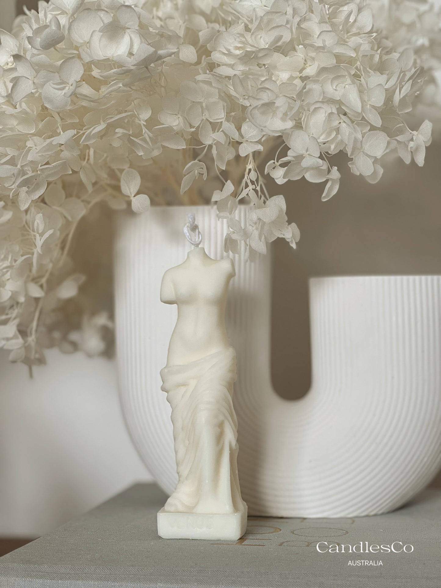 Small Venus Statue