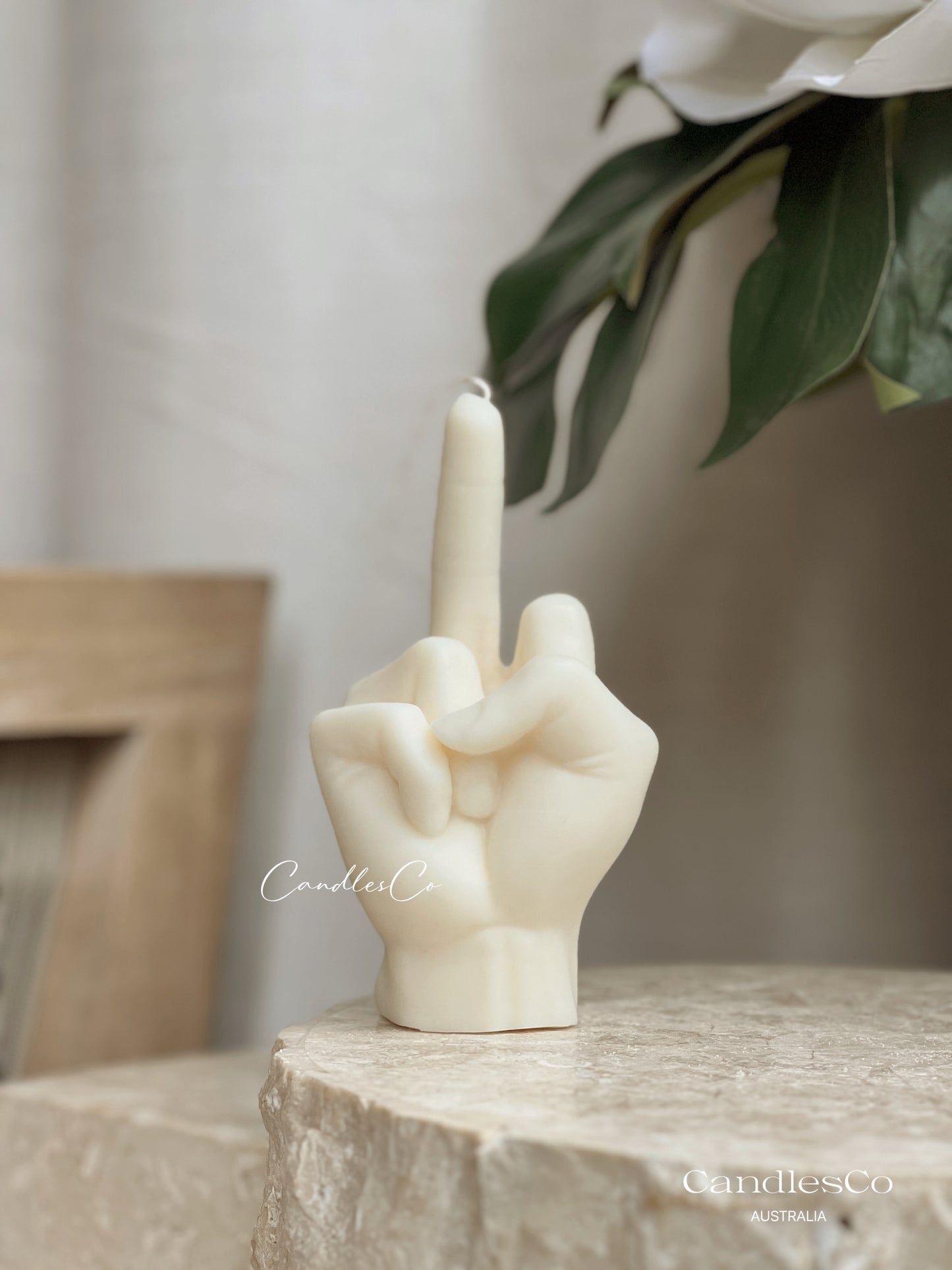 Rude Finger