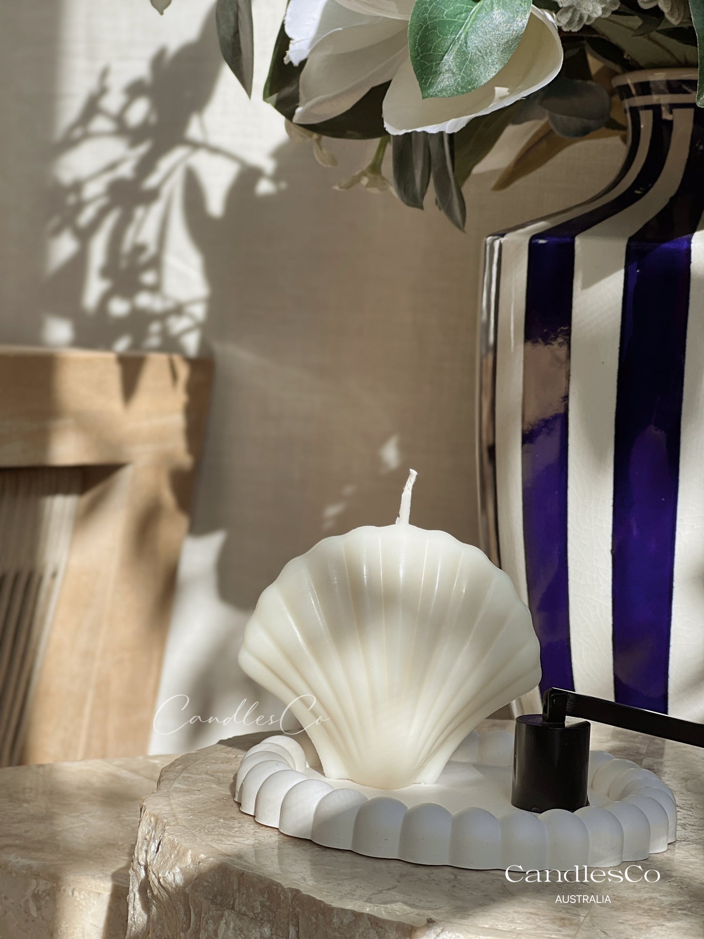 Scallop Seashell