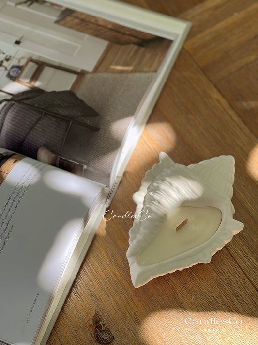 Large Seashell Vessel