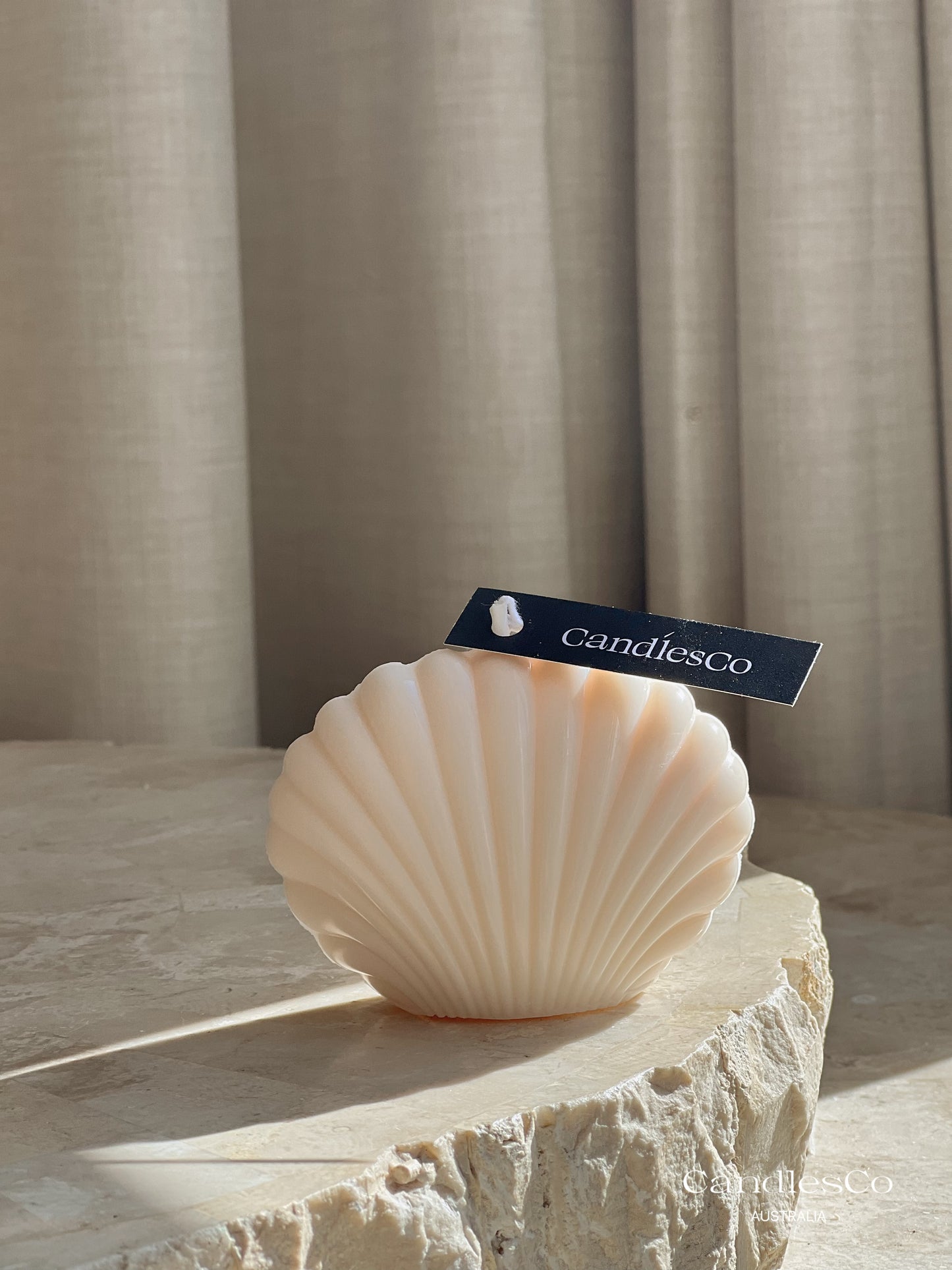 Seashell