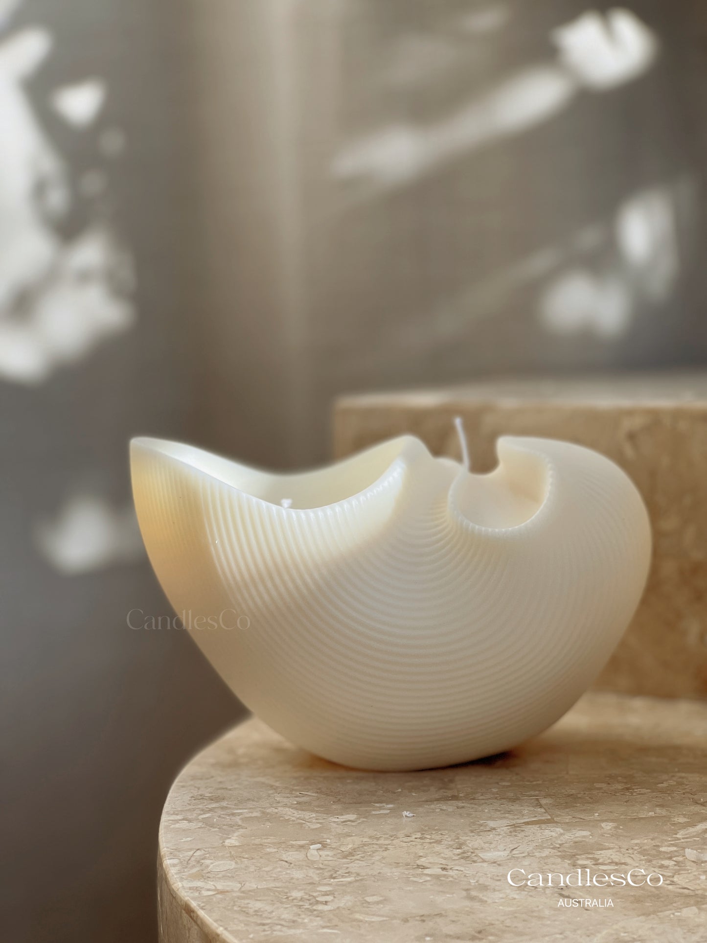Coastal Shell