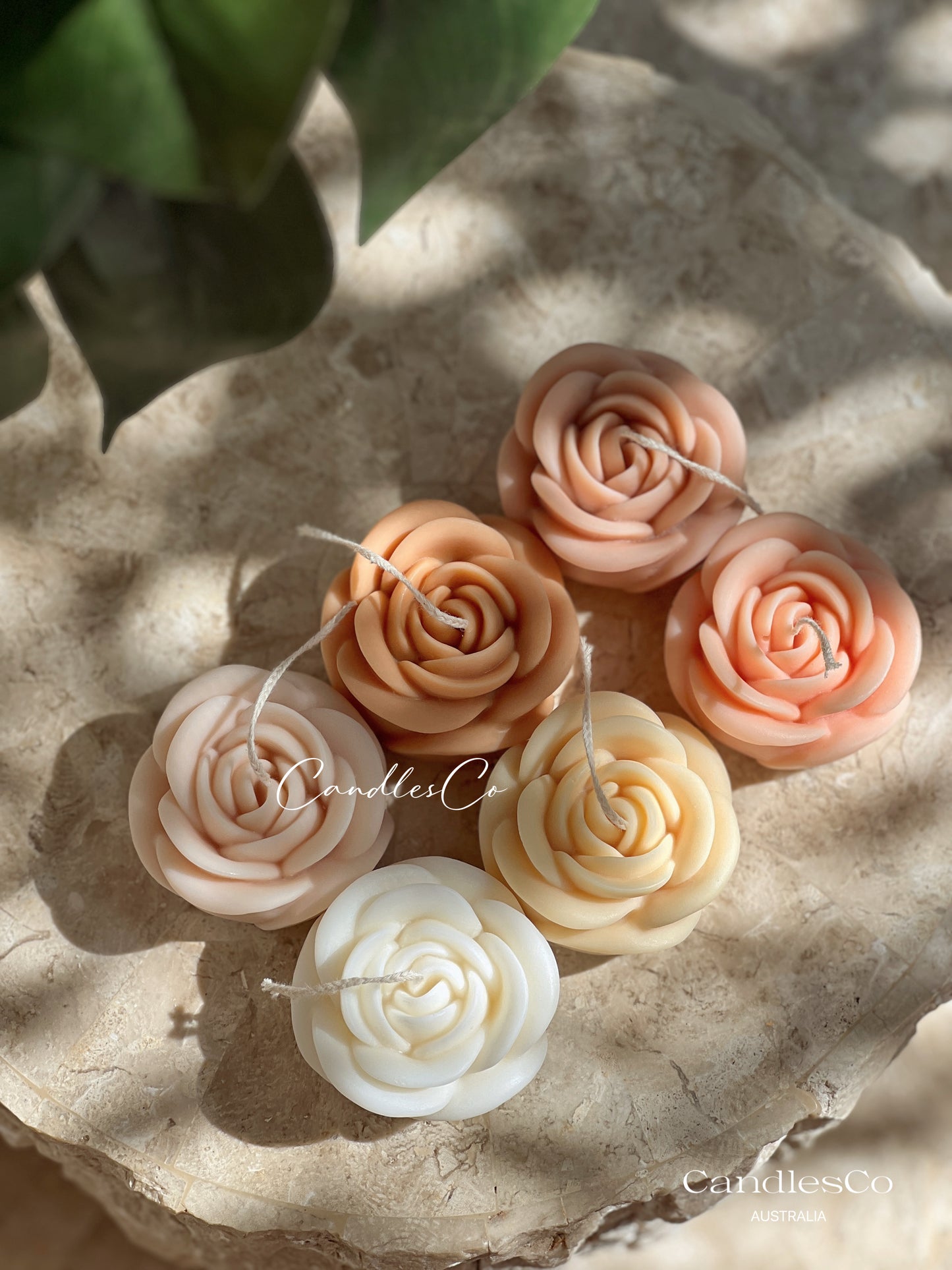 Small Rose