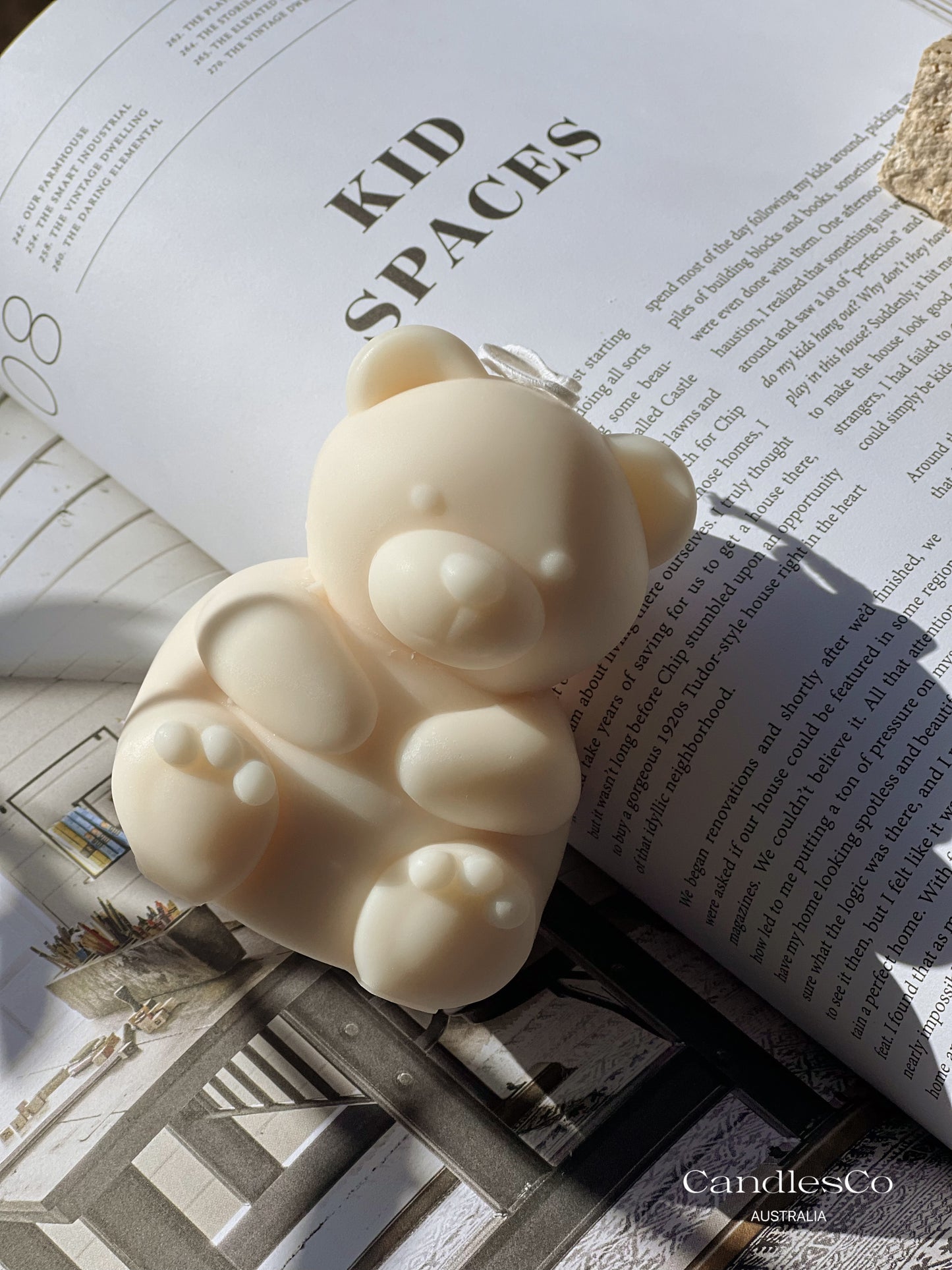 Teddy Bear