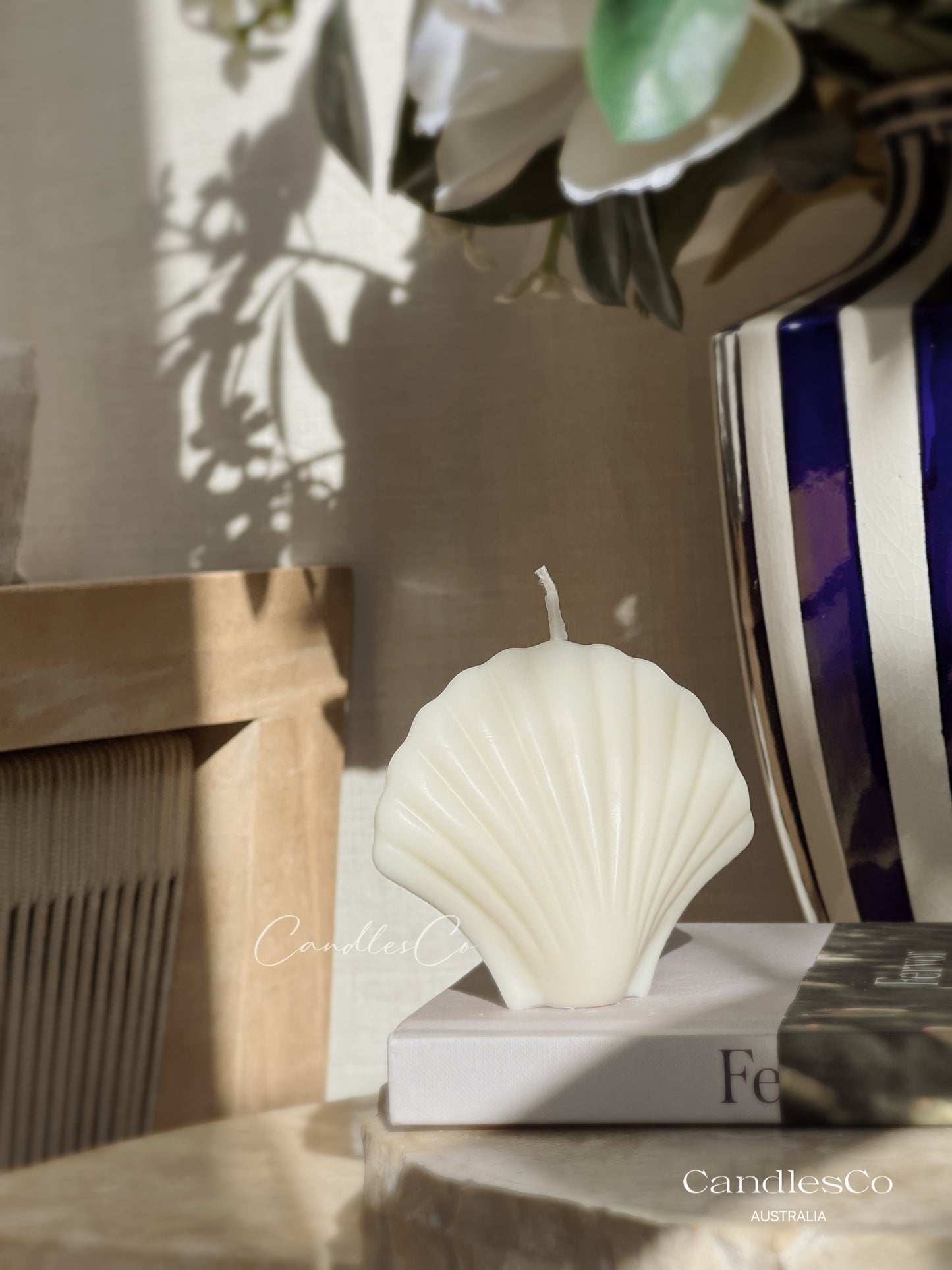 Scallop Seashell