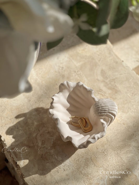 Large Seashell Mold