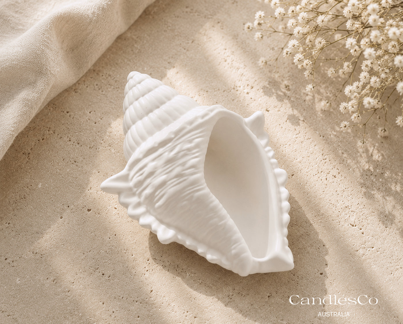 Conch Shell Trinket Dish