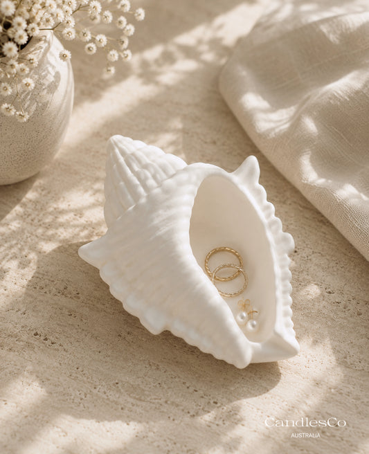 Conch Shell Trinket Dish