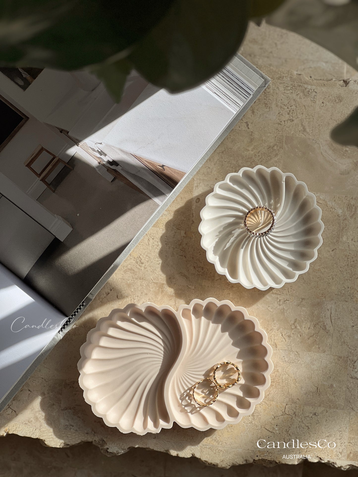 Shell trinket Dish