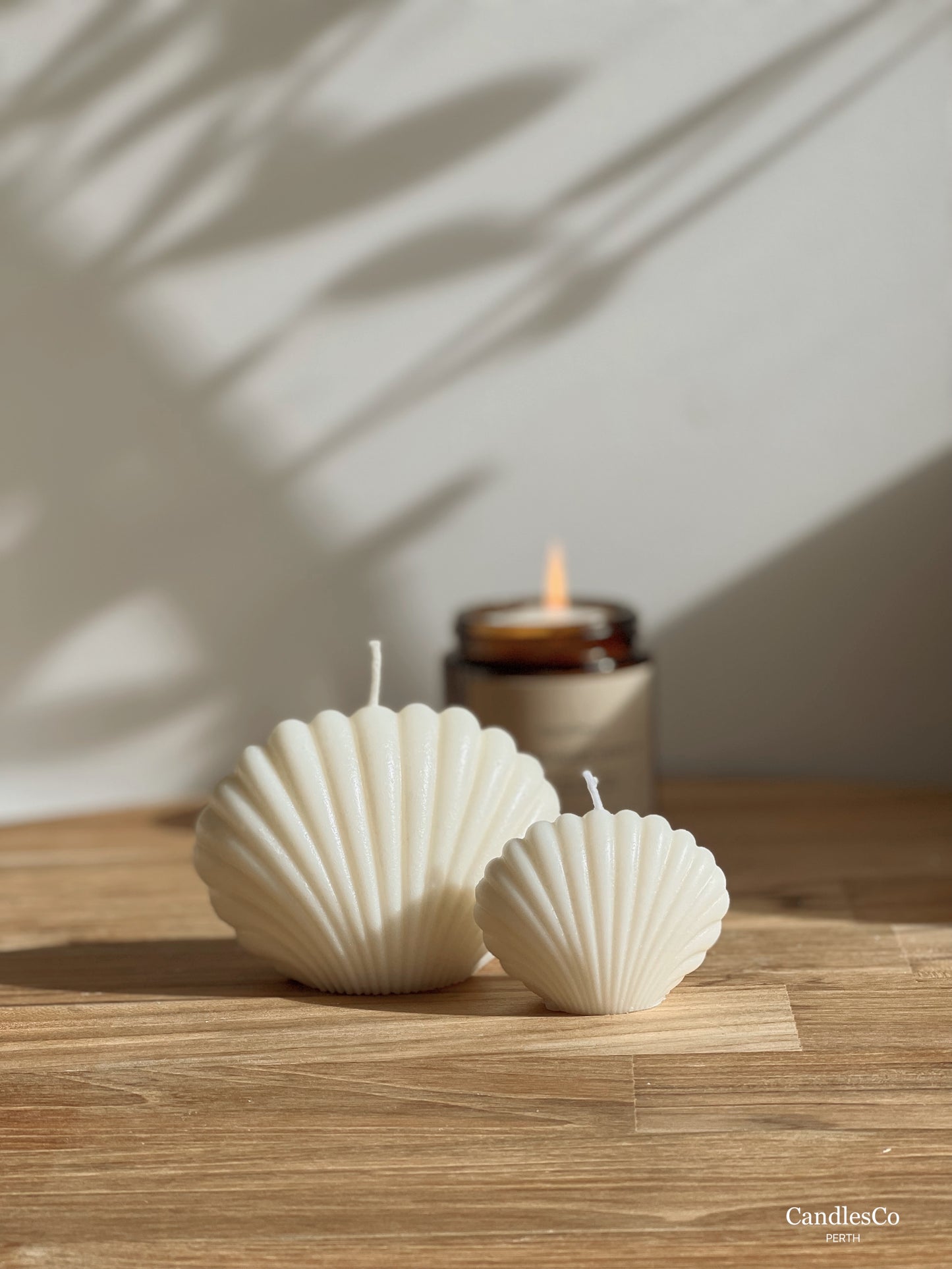 Seashell Set